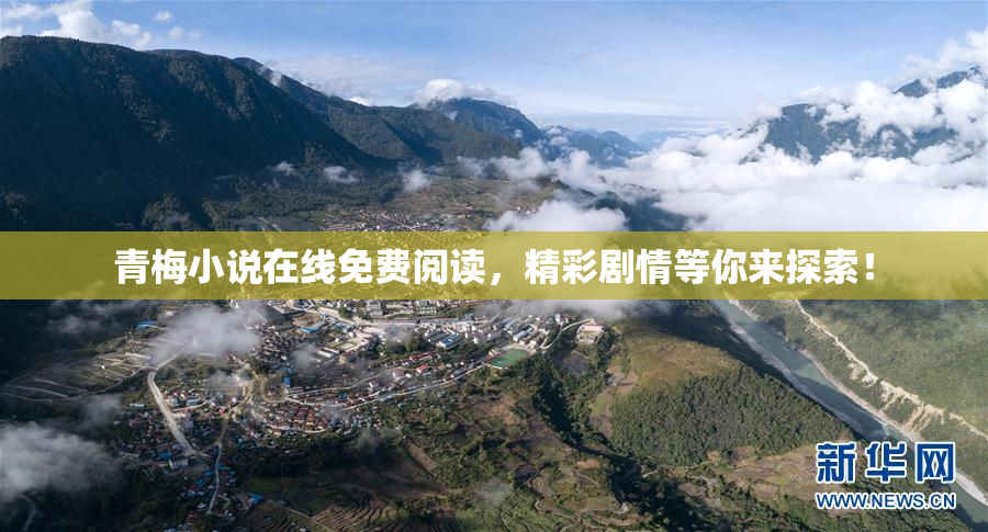 青梅小说在线免费阅读，精彩剧情等你来探索！