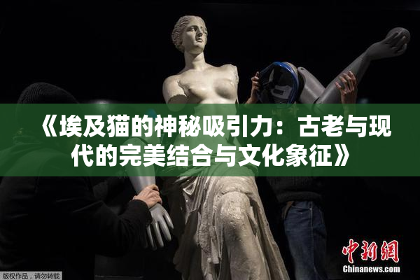 《埃及猫的神秘吸引力：古老与现代的完美结合与文化象征》