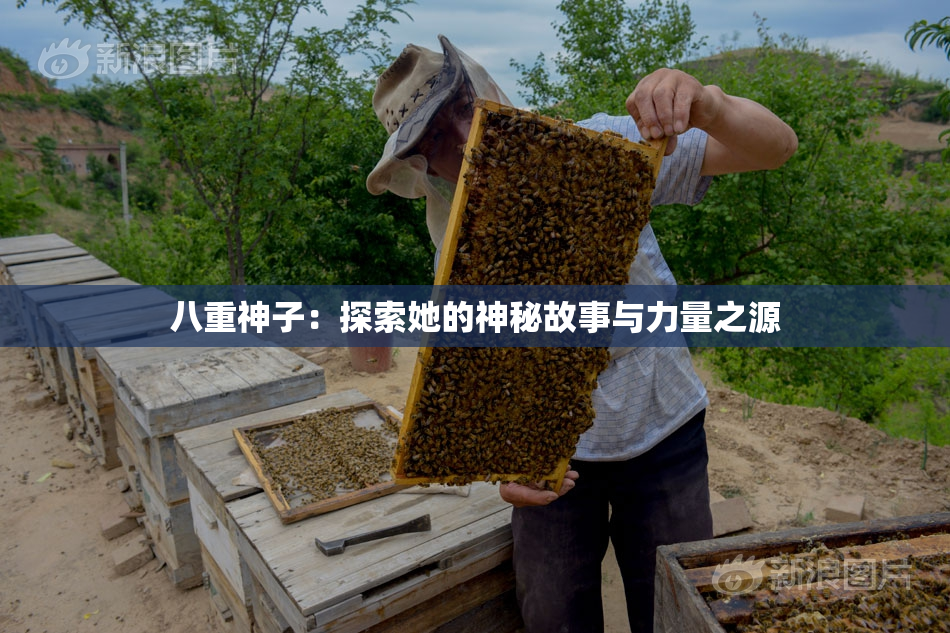 八重神子：探索她的神秘故事与力量之源