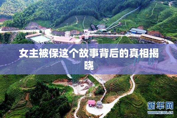 女主被保这个故事背后的真相揭晓