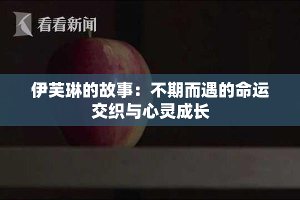 伊芙琳的故事：不期而遇的命运交织与心灵成长
