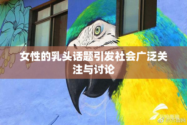 女性的乳头话题引发社会广泛关注与讨论