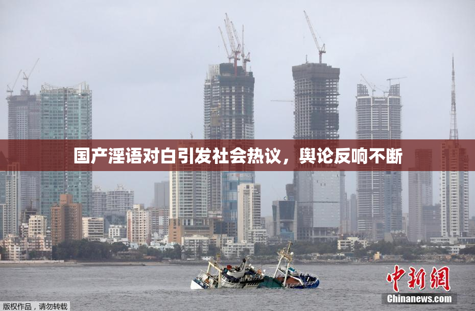 国产淫语对白引发社会热议，舆论反响不断