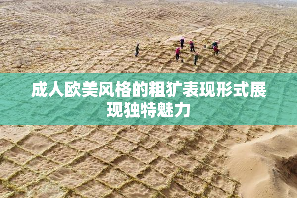 成人欧美风格的粗犷表现形式展现独特魅力