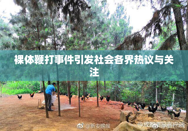 裸体鞭打事件引发社会各界热议与关注