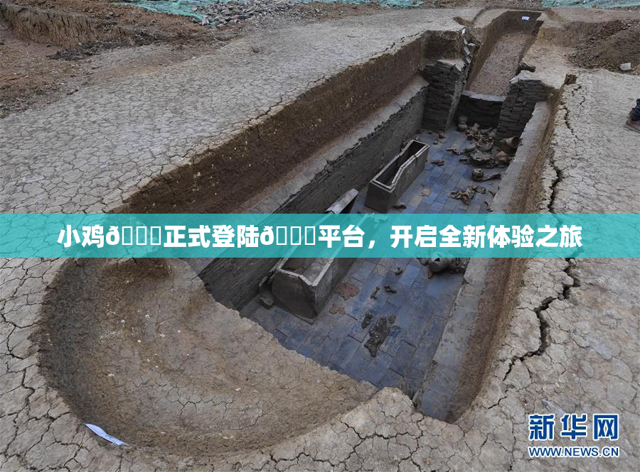 小鸡🐔正式登陆🍑平台，开启全新体验之旅