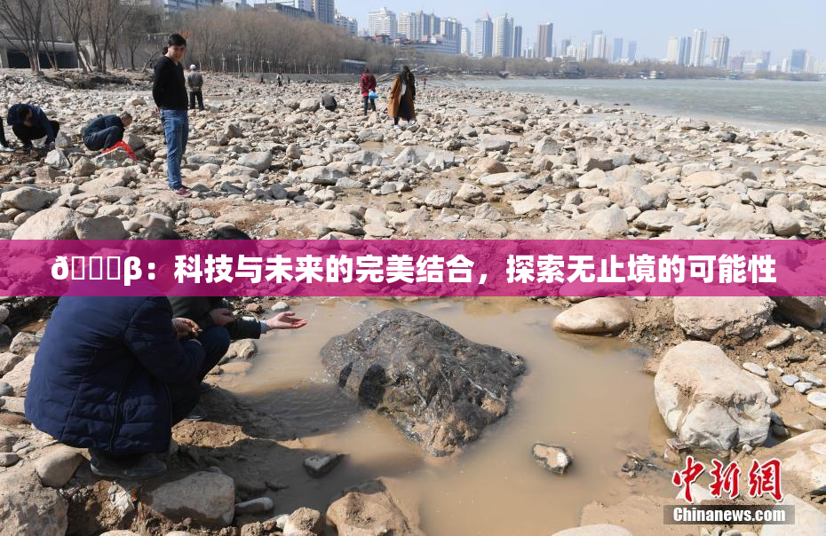 🔞β：科技与未来的完美结合，探索无止境的可能性