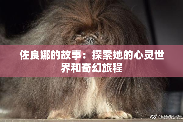 佐良娜的故事：探索她的心灵世界和奇幻旅程
