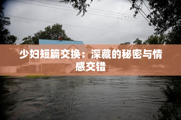 少妇短篇交换：深藏的秘密与情感交错