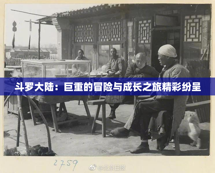 斗罗大陆：巨重的冒险与成长之旅精彩纷呈