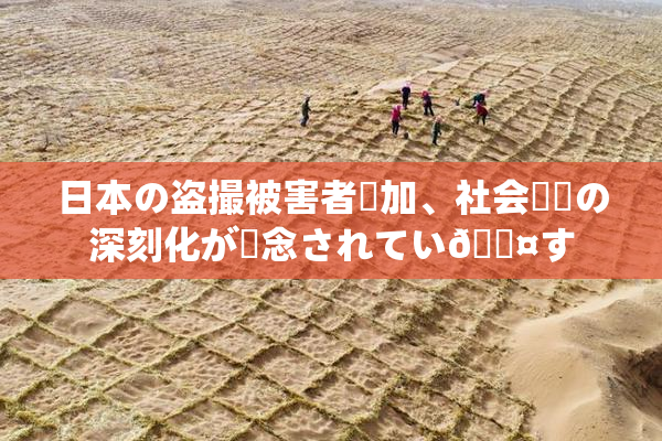 日本の盗撮被害者増加、社会問題の深刻化が懸念されてい🖤す