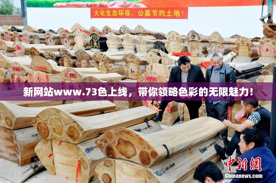 新网站www.73色上线，带你领略色彩的无限魅力！