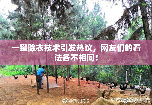 一键除衣技术引发热议，网友们的看法各不相同！