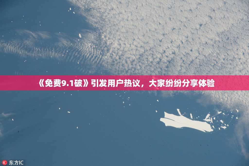 《免费9.1破》引发用户热议，大家纷纷分享体验