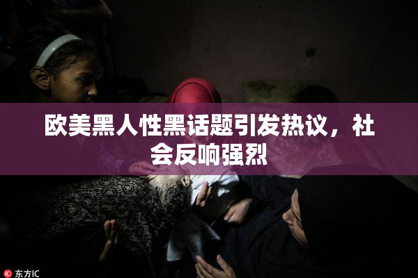 欧美黑人性黑话题引发热议，社会反响强烈
