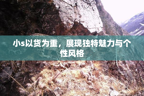 小s以货为重，展现独特魅力与个性风格
