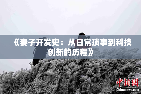 《妻子开发史：从日常琐事到科技创新的历程》