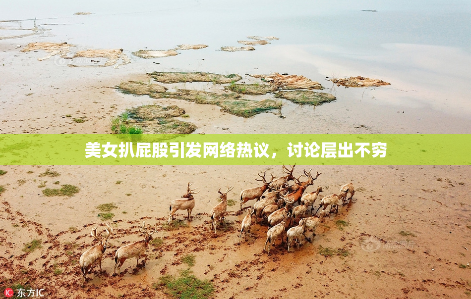 美女扒屁股引发网络热议，讨论层出不穷