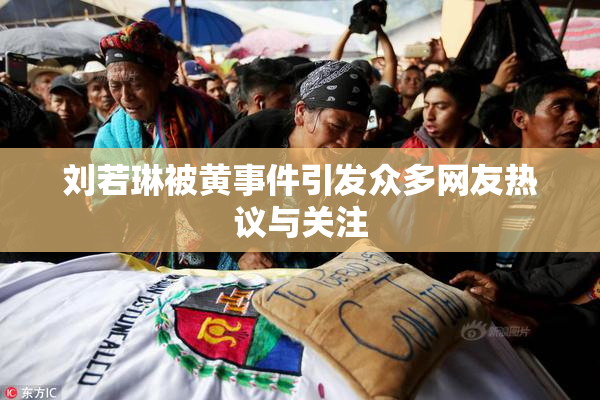 刘若琳被黄事件引发众多网友热议与关注