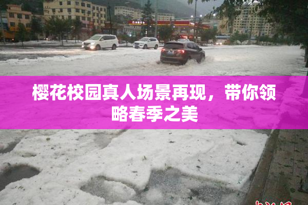 樱花校园真人场景再现，带你领略春季之美