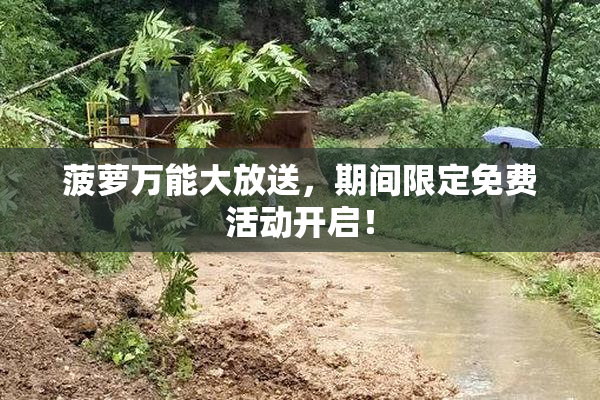 菠萝万能大放送，期间限定免费活动开启！