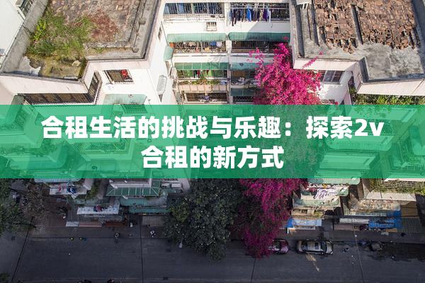 合租生活的挑战与乐趣：探索2v合租的新方式