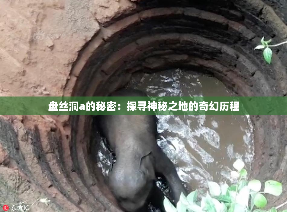 盘丝洞a的秘密：探寻神秘之地的奇幻历程