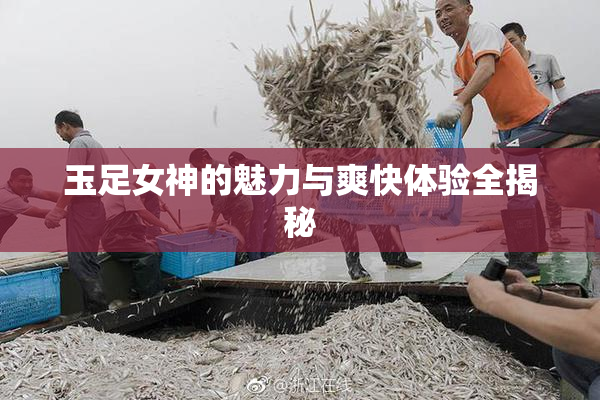 玉足女神的魅力与爽快体验全揭秘