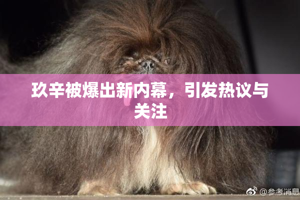玖辛被爆出新内幕，引发热议与关注