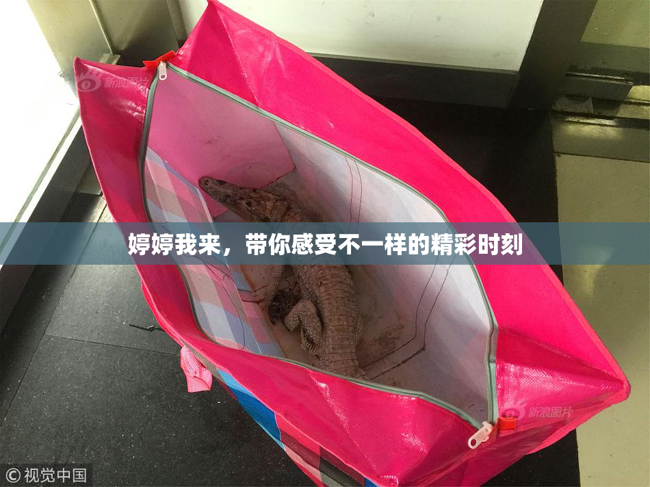 婷婷我来，带你感受不一样的精彩时刻