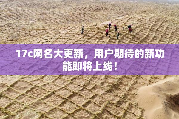17c网名大更新，用户期待的新功能即将上线！
