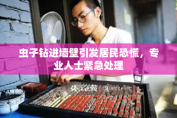 虫子钻进墙壁引发居民恐慌，专业人士紧急处理
