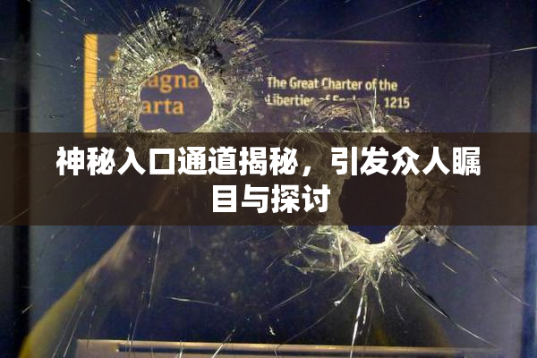 神秘入口通道揭秘，引发众人瞩目与探讨