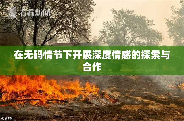 在无码情节下开展深度情感的探索与合作