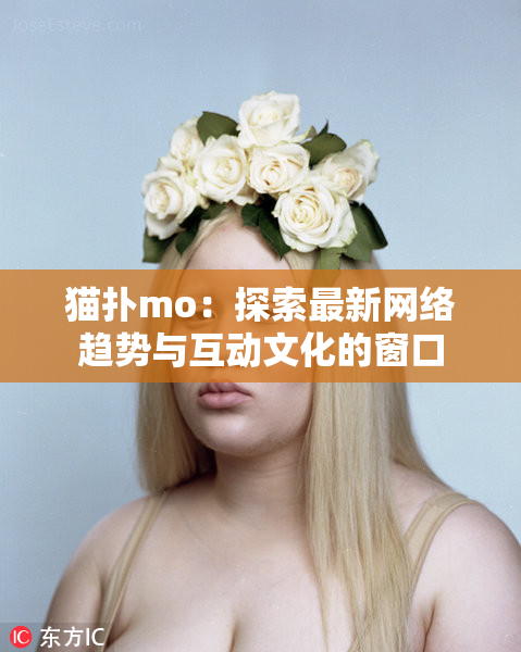 猫扑mo：探索最新网络趋势与互动文化的窗口