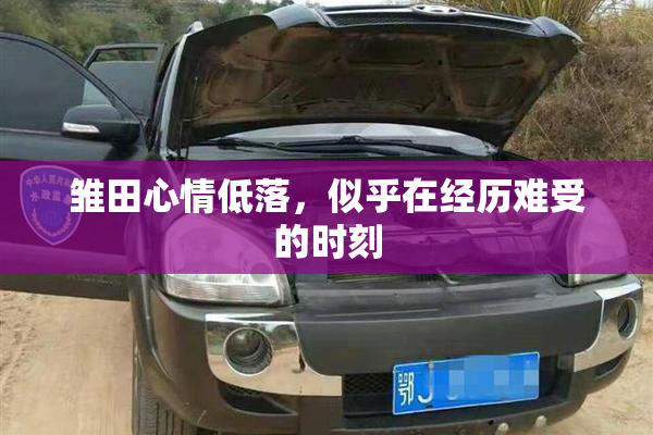 雏田心情低落，似乎在经历难受的时刻
