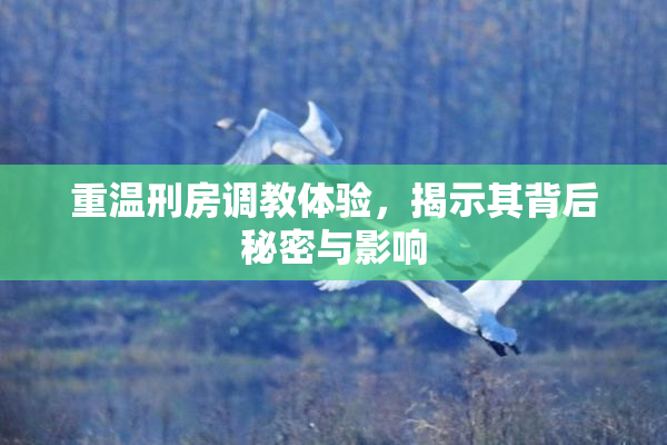 重温刑房调教体验，揭示其背后秘密与影响