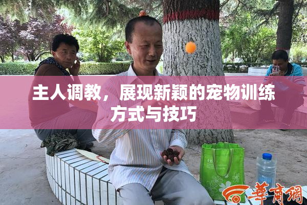 主人调教，展现新颖的宠物训练方式与技巧