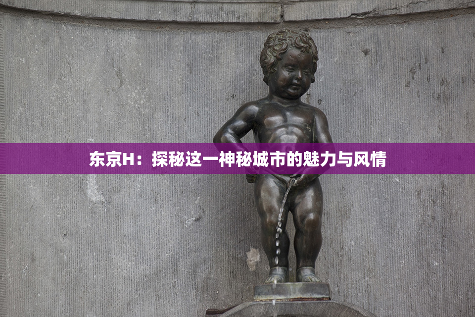 东京H：探秘这一神秘城市的魅力与风情