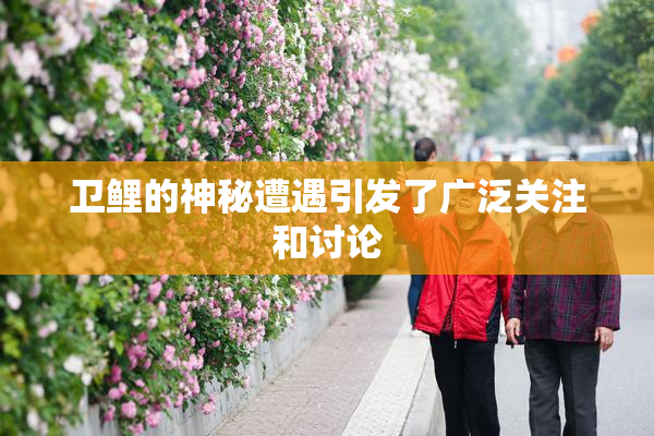 卫鲤的神秘遭遇引发了广泛关注和讨论