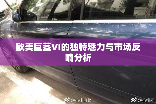 欧美巨茎VI的独特魅力与市场反响分析