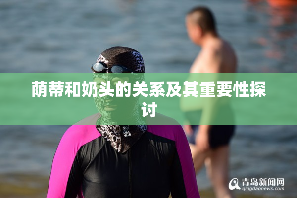 荫蒂和奶头的关系及其重要性探讨