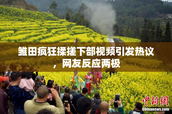 雏田疯狂揉搓下部视频引发热议，网友反应两极