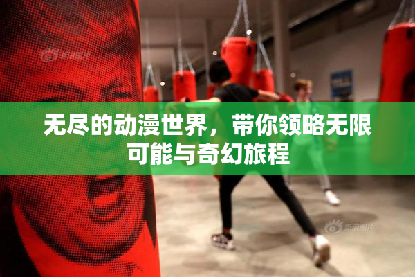 无尽的动漫世界，带你领略无限可能与奇幻旅程
