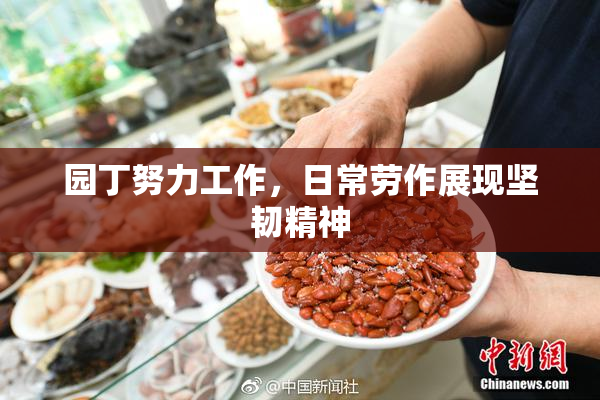 园丁努力工作，日常劳作展现坚韧精神