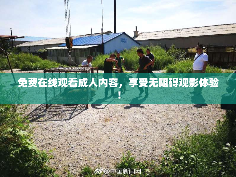 免费在线观看成人内容，享受无阻碍观影体验！