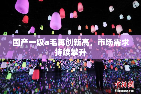 国产一级a毛再创新高，市场需求持续攀升