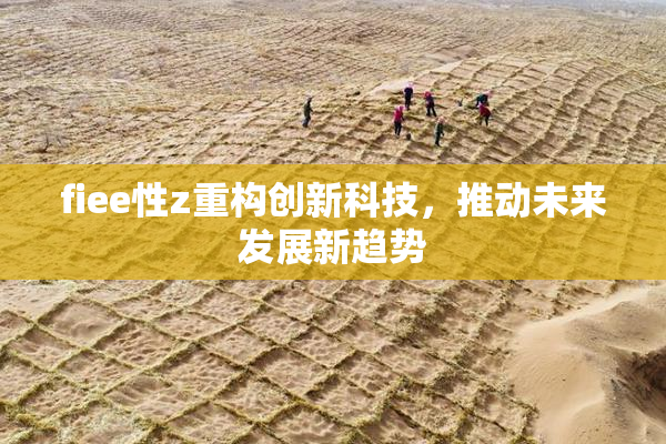fiee性z重构创新科技，推动未来发展新趋势