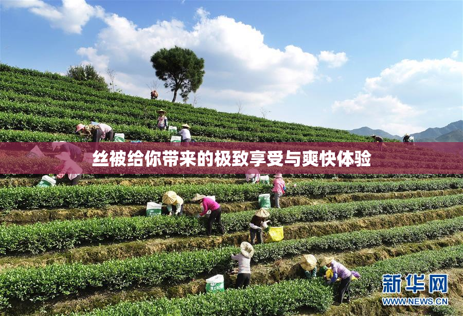 丝被给你带来的极致享受与爽快体验