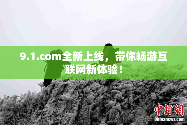 9.1.com全新上线，带你畅游互联网新体验！